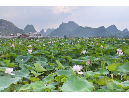 高质量地推是怎样炼成的？