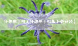 狂想曲手机（狂想曲手机版下载安装）