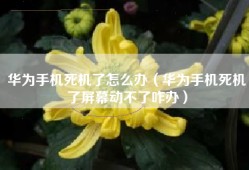 华为手机死机了怎么办（华为手机死机了屏幕动不了咋办）