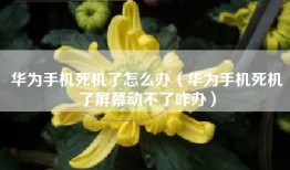华为手机死机了怎么办（华为手机死机了屏幕动不了咋办）