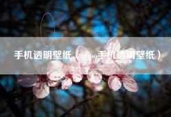 手机透明壁纸（oppo手机透明壁纸）
