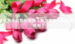 华为手机如何设置（华为手机怎么设置来电）
