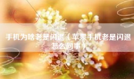 手机为啥老是闪退（苹果手机老是闪退怎么回事）