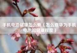 手机电池健康怎么查（怎么查华为手机电池的健康程度）