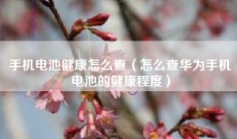 手机电池健康怎么查（怎么查华为手机电池的健康程度）