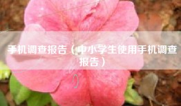 手机调查报告（中小学生使用手机调查报告）