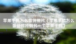 苹果手机怎么备份照片（苹果手机怎么备份照片到另一个苹果手机）