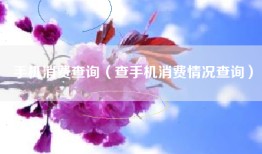 手机消费查询（查手机消费情况查询）