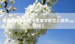 苹果手机怎么修（苹果手机怎么修改app图标）