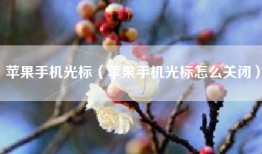 苹果手机光标（苹果手机光标怎么关闭）