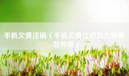 手机欠费注销（手机欠费注销怎么恢复 在异地）
