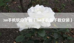 360手机软件下载（360手机版下载安装）