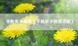 手机电子商务（手机电子商务功能）