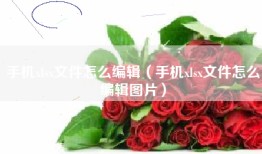 手机xlsx文件怎么编辑（手机xlsx文件怎么编辑图片）