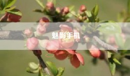 魅影手机
