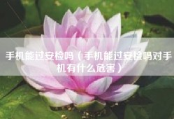 手机能过安检吗（手机能过安检吗对手机有什么危害）