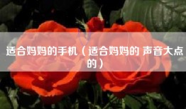 适合妈妈的手机（适合妈妈的 声音大点的）