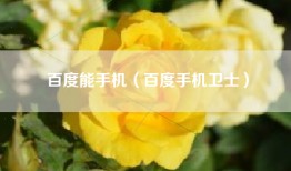 百度能手机（百度手机卫士）