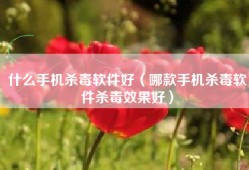 什么手机杀毒软件好（哪款手机杀毒软件杀毒效果好）