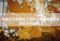 手机打不开游戏（为什么996传奇盒子手机打不开游戏）