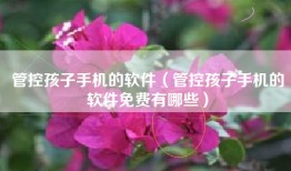 管控孩子手机的软件（管控孩子手机的软件免费有哪些）