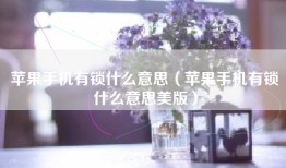 苹果手机有锁什么意思（苹果手机有锁什么意思美版）
