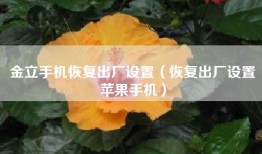 金立手机恢复出厂设置（恢复出厂设置苹果手机）