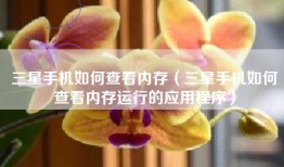 三星手机如何查看内存（三星手机如何查看内存运行的应用程序）