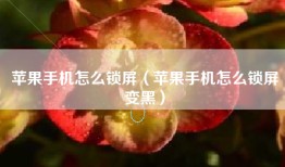 苹果手机怎么锁屏（苹果手机怎么锁屏变黑）