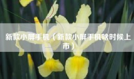 新款小屏手机（新款小屏手机啥时候上市）