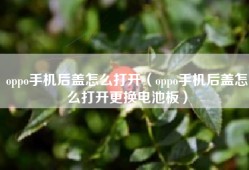 oppo手机后盖怎么打开（oppo手机后盖怎么打开更换电池板）
