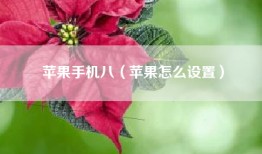 苹果手机八（苹果怎么设置）