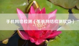 手机网络检测（手机网络检测软件）