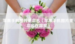 苹果手机图片重命名（苹果手机图片重命名在哪里）