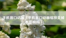 手机窗口动画（手机窗口动画缩放关掉有影响吗）
