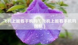 飞机上能看手机吗（飞机上能看手机吗国航）