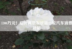 1300万元！绍兴两地发放新一轮汽车消费补贴