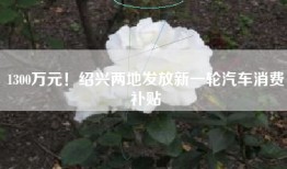 1300万元！绍兴两地发放新一轮汽车消费补贴