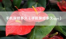 手机保修多久（手机保修多久oppo）