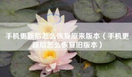 手机更新后怎么恢复原来版本（手机更新后怎么恢复旧版本）