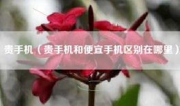 贵手机（贵手机和便宜手机区别在哪里）
