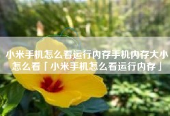 小米手机怎么看运行内存手机内存大小怎么看「小米手机怎么看运行内存」