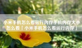小米手机怎么看运行内存手机内存大小怎么看「小米手机怎么看运行内存」