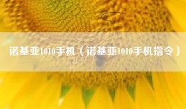 诺基亚1010手机（诺基亚1010手机指令）