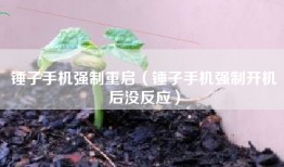 锤子手机强制重启（锤子手机强制开机后没反应）