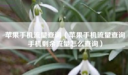 苹果手机流量查询（苹果手机流量查询手机剩余流量怎么查询）