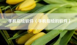 手机指绘软件（手机指绘的软件）