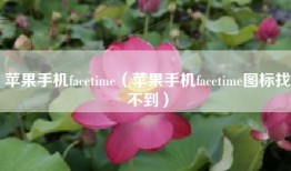 苹果手机facetime（苹果手机facetime图标找不到）