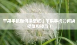苹果手机如何换壁纸（苹果手机如何换壁纸和锁屏）