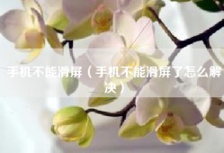 手机不能滑屏（手机不能滑屏了怎么解决）